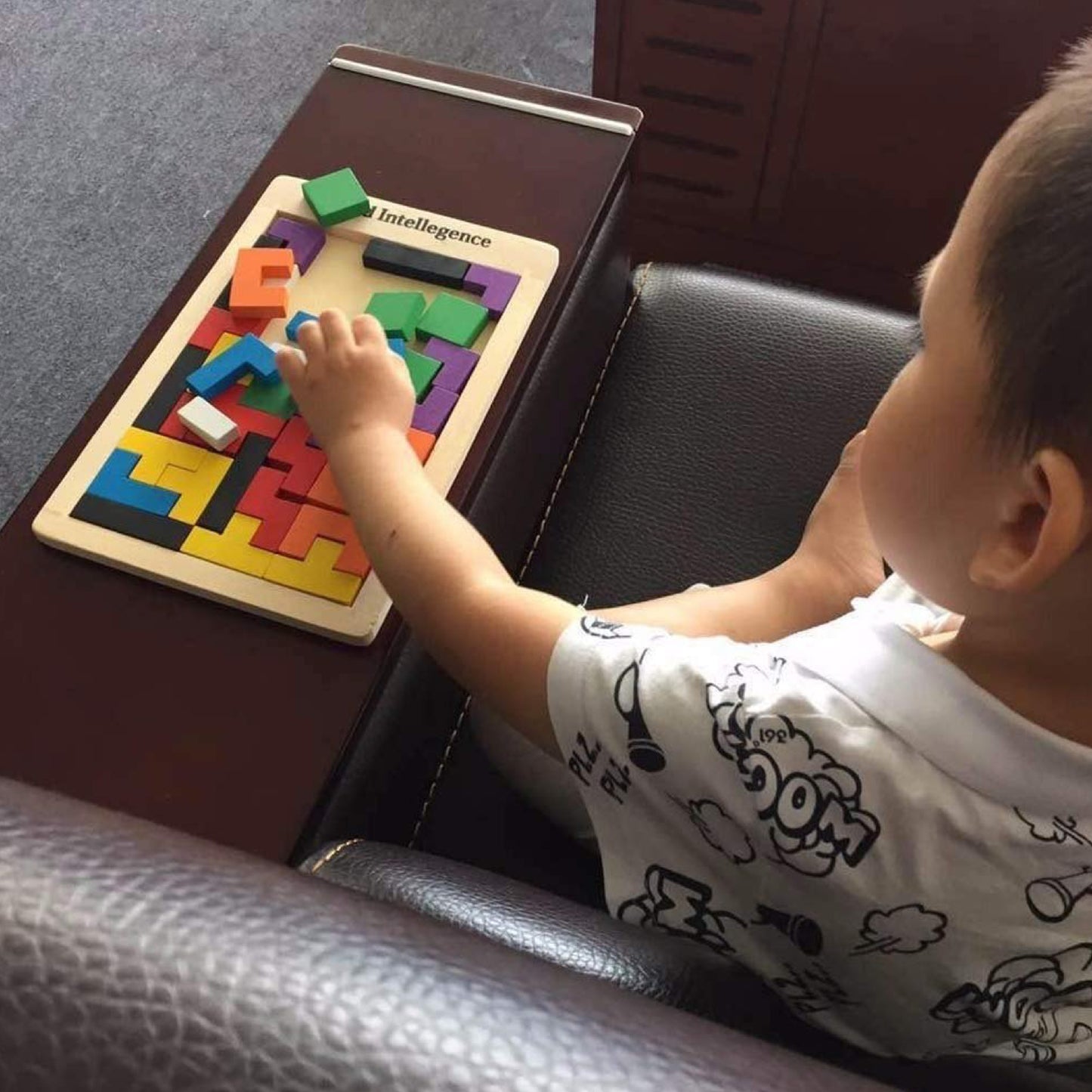 WOODEN INTELLIGENCE PUZZLE TOY - Toys Wali Gali